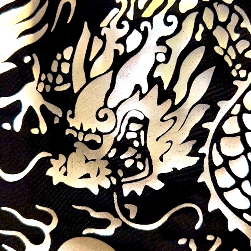 NWT Year of the Dragon body suit